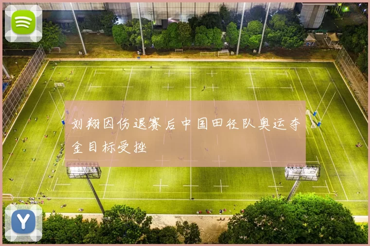 刘翔因伤退赛后中国田径队奥运夺金目标受挫